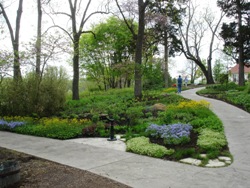 Home Gardening Area